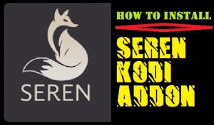 Read more about the article HOW TO INSTALL SEREN ADDON ON KODI IN 3 EASY STEPS