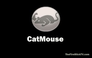 Install CatMouse APK on FireStick in 2 minutes ( Easy Method for 2021 )