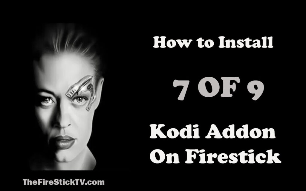 How to Setup 7 Of 9 Kodi Addon