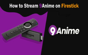 How to Stream 9Anime Website on Firestick